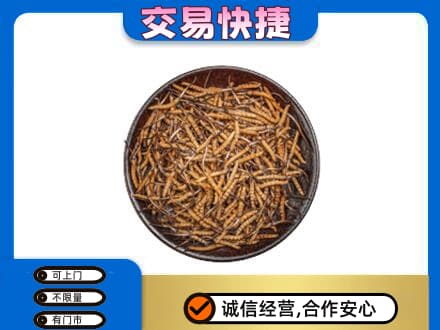 牡丹江爱民礼品回收虫草.jpg